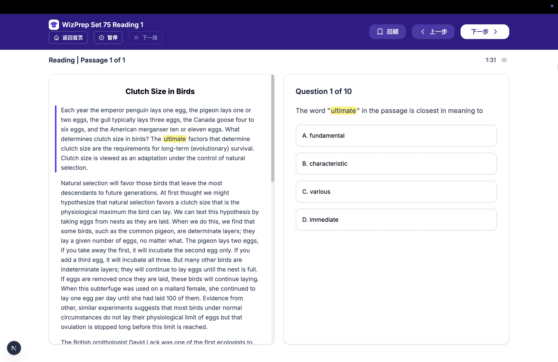 阅读 练习界面预览